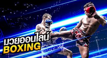 แทงมวยเดี่ยวดีอย่างไร